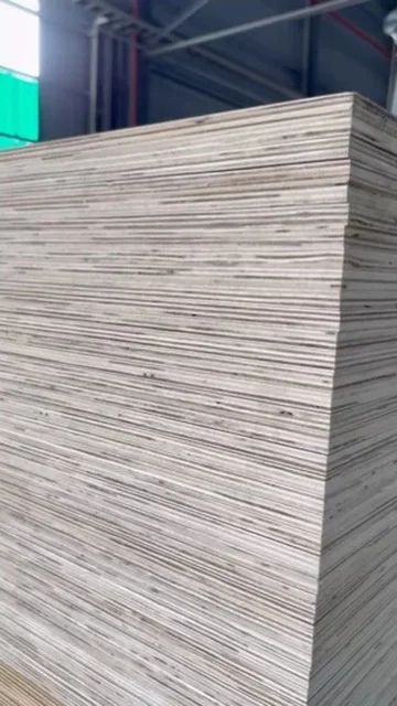 QC edge inspection comparing acacia core plywood quality at Vietnam factory