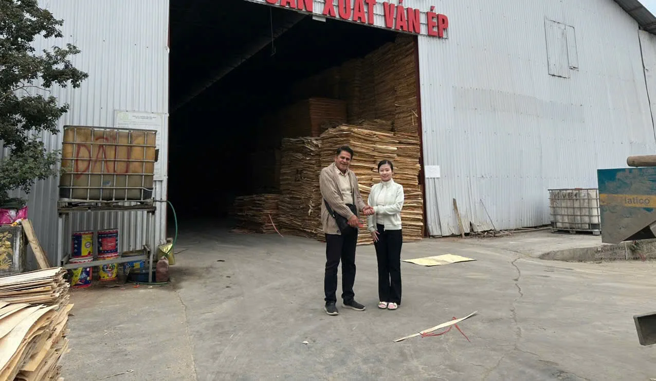 international buyers visit vietnam plywood factory hcply client meeting