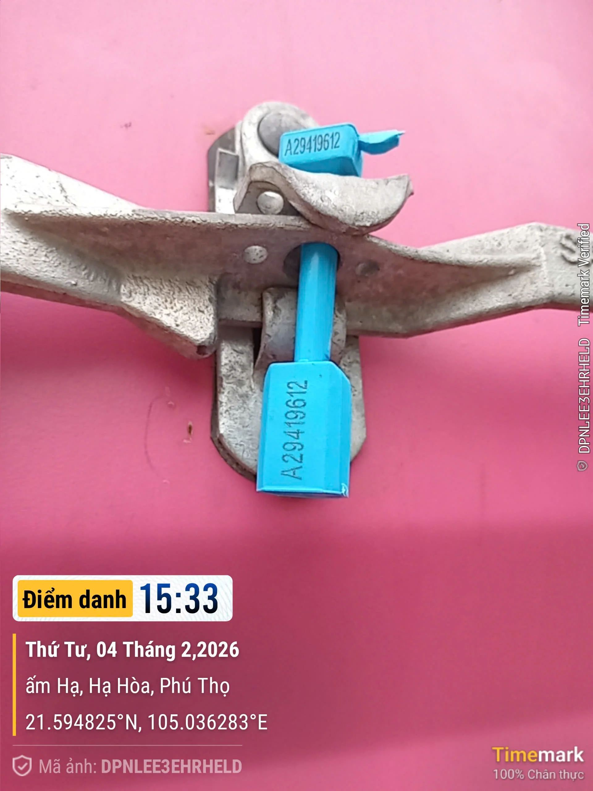 Vietnam plywood export pallets ready for 40HC container loading — import guide