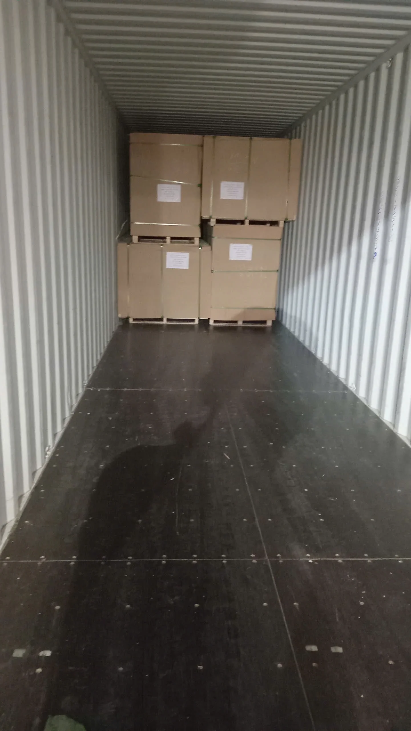 loading plywood boards into 40HC container for export from Vietnam hcply