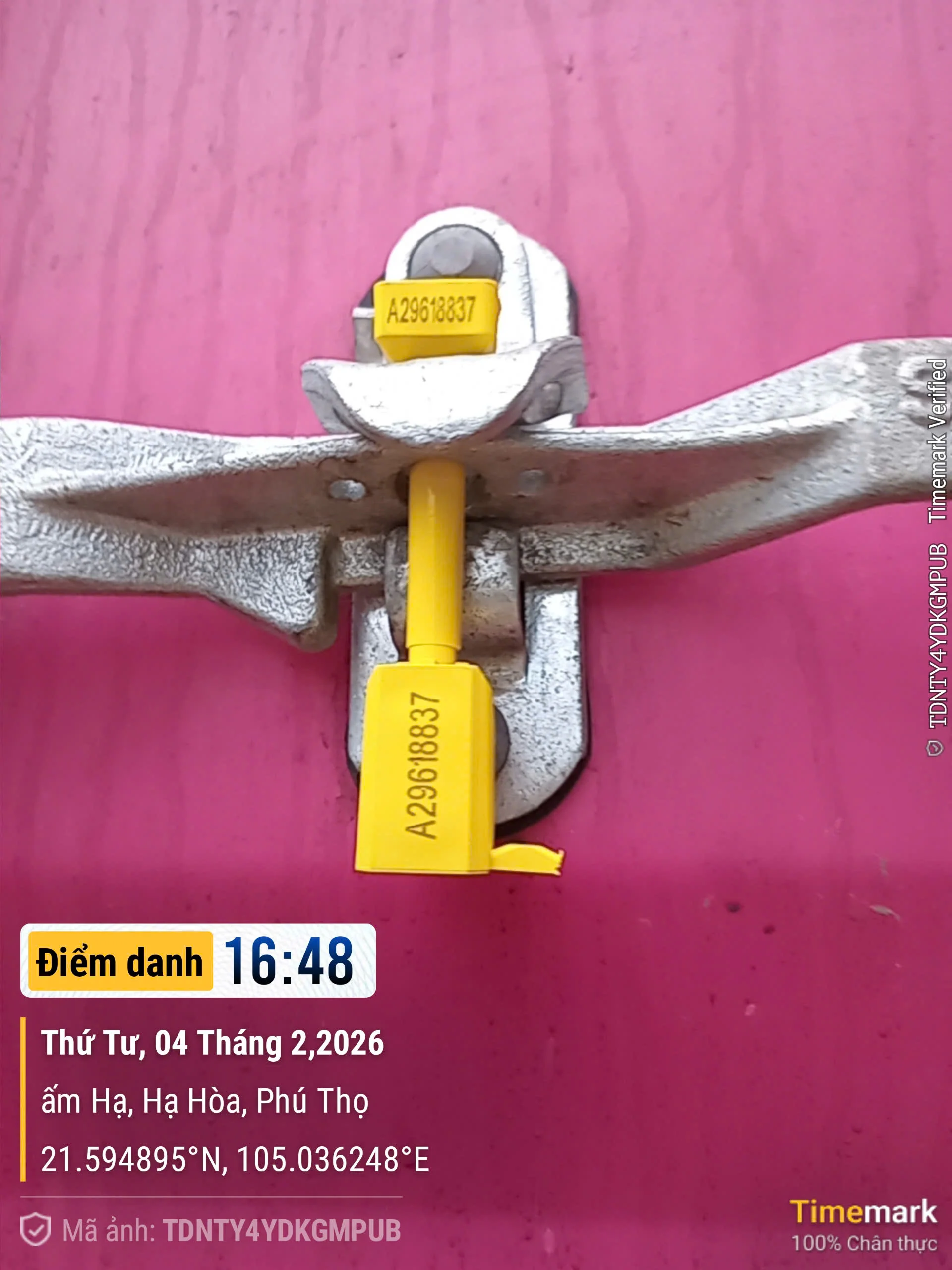 HCPLY plywood pallet loading into 40HC container for Vietnam export to USA