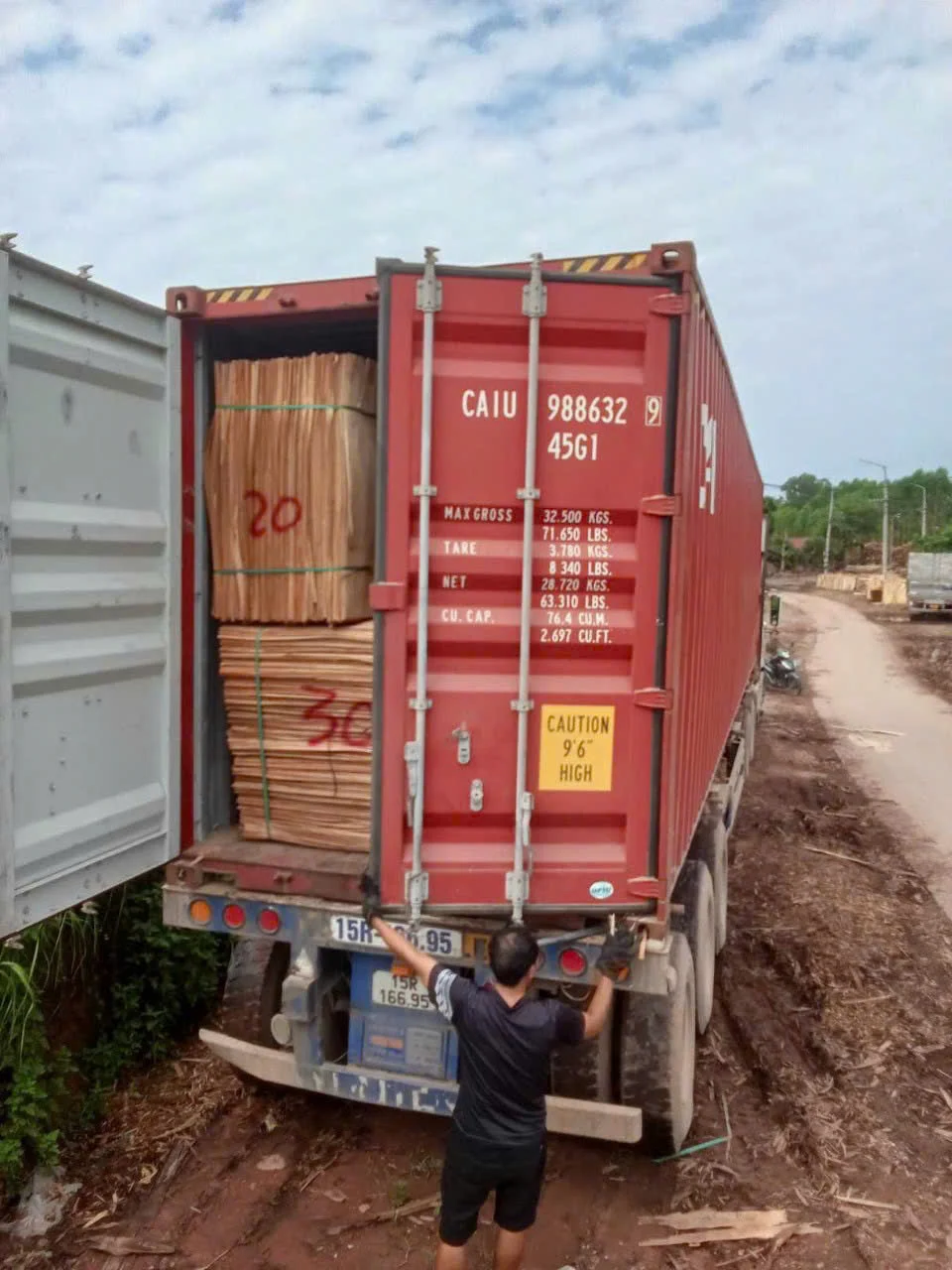 Plywood export pallets being loaded onto a 40HC container at Hai Phong port — freight efficiency depends on core species and pallet configuration
