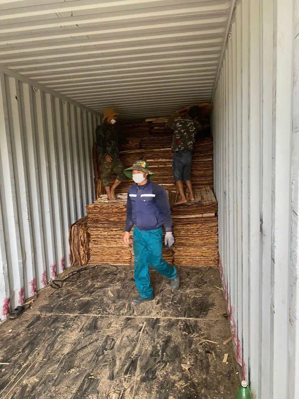 Vietnam plywood pallet loading into container — factory direct export HCPLY forklift