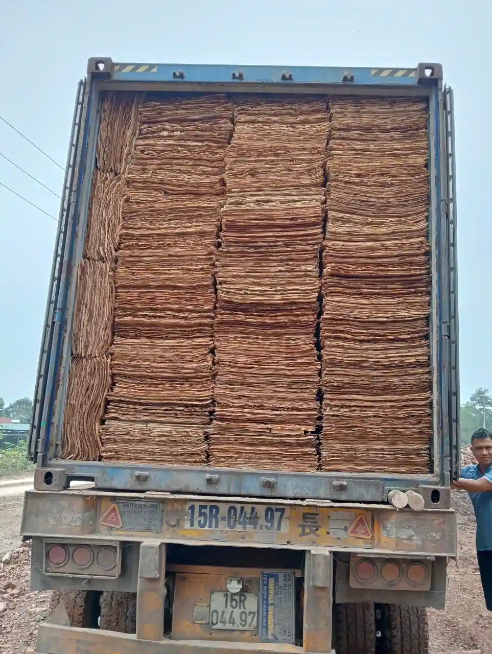 Vietnam plywood export markets country buyer guide