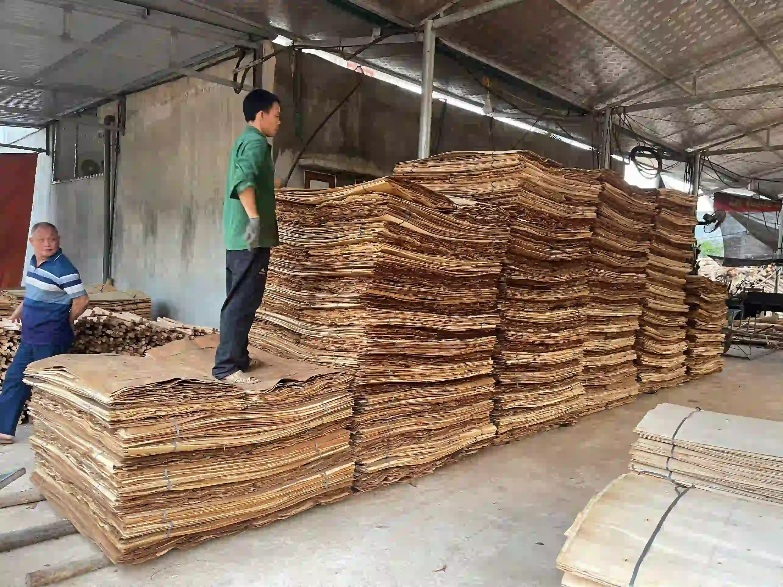 stitch core plywood construction at HCPLY Vietnam factory manufacturing line