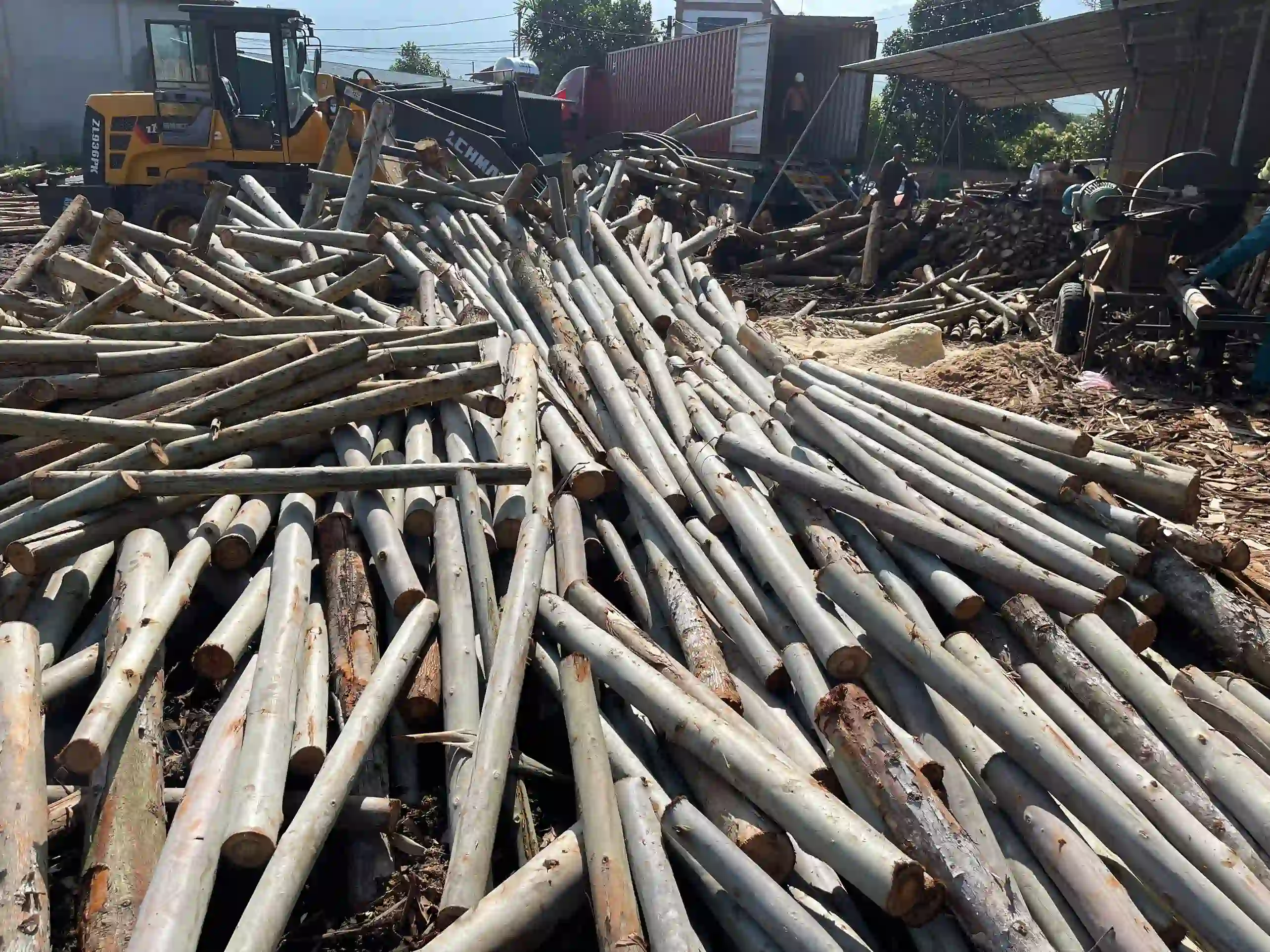 film faced plywood formwork core construction grade vietnam factory hcply