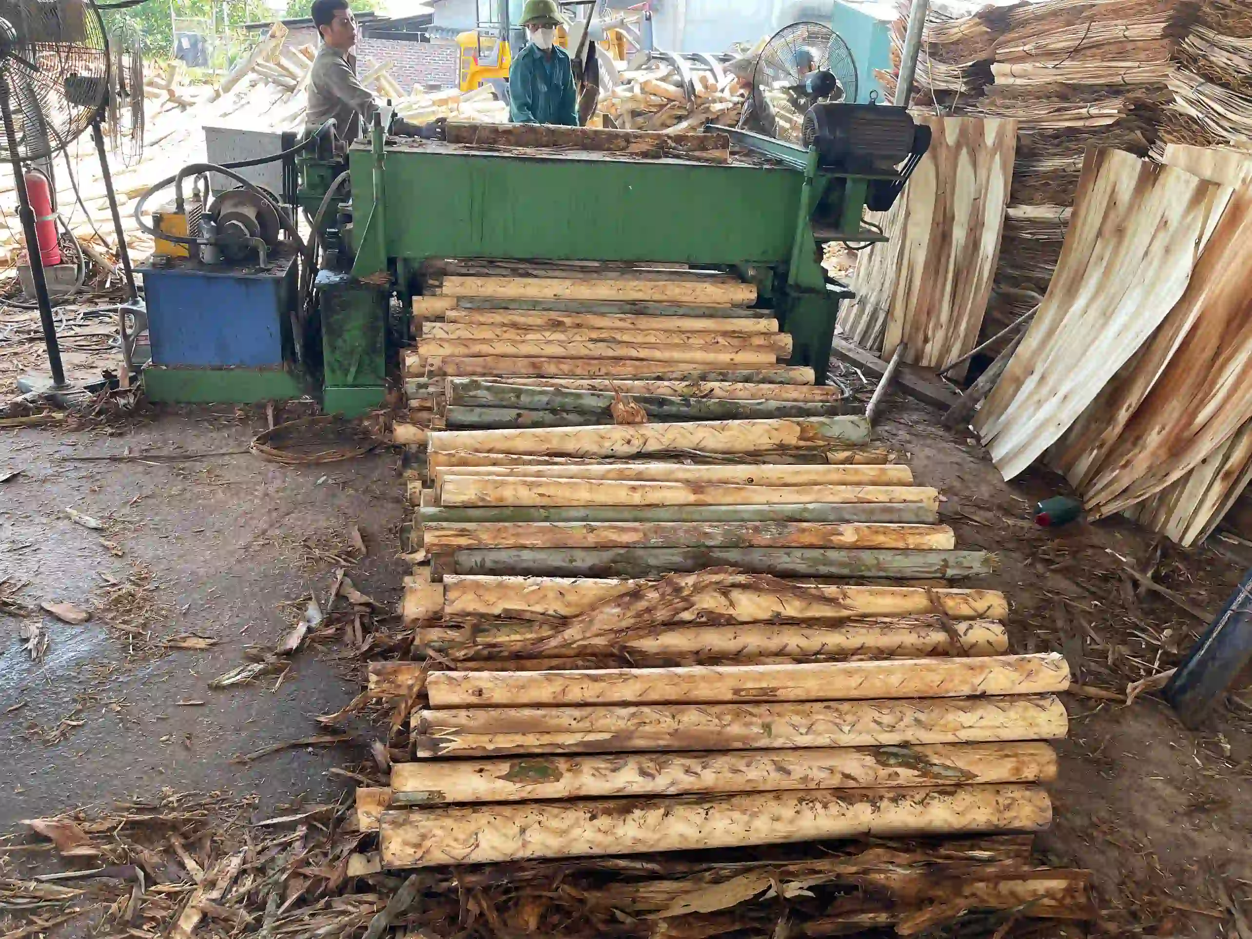 veneer grading and moisture control plywood factory vietnam hcply quality inspection