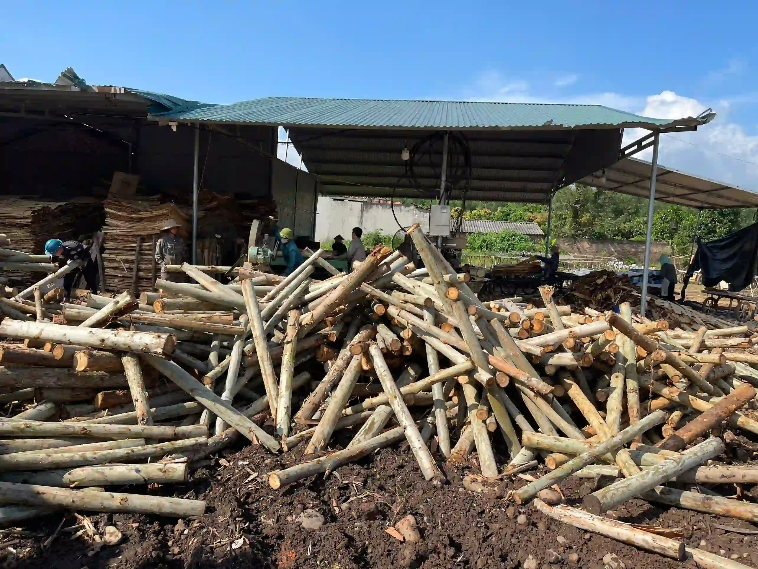 Vietnam eucalyptus core plywood veneer layers showing dense high-strength construction hcply export