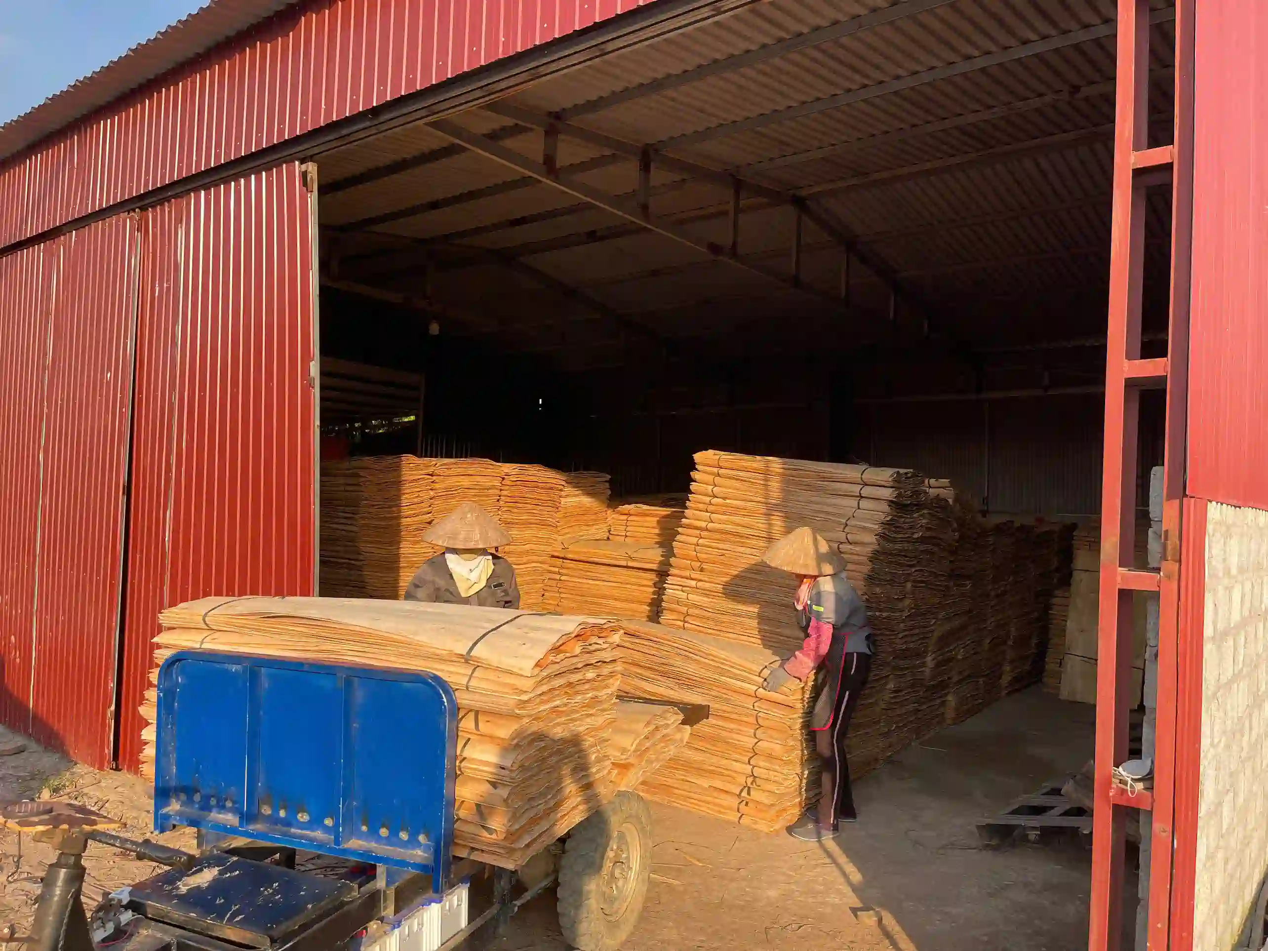 acacia core veneer vietnam export grade a plywood hcply sheets bundled for shipment