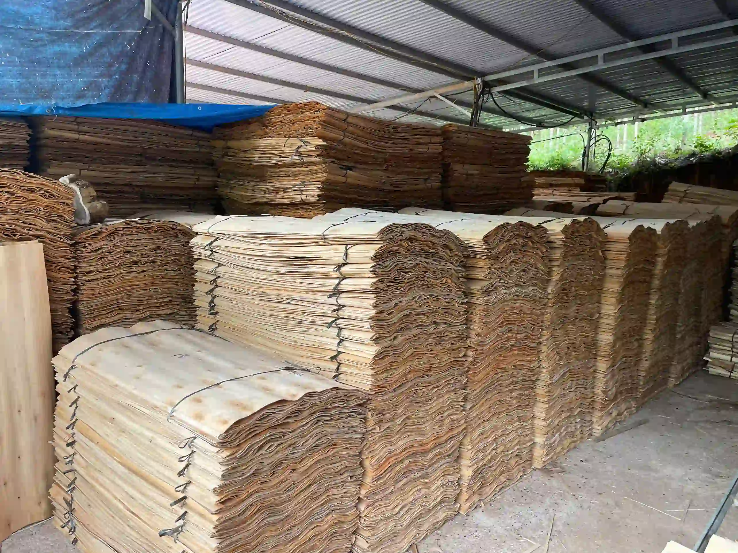 vietnam plywood factory production line furniture segment