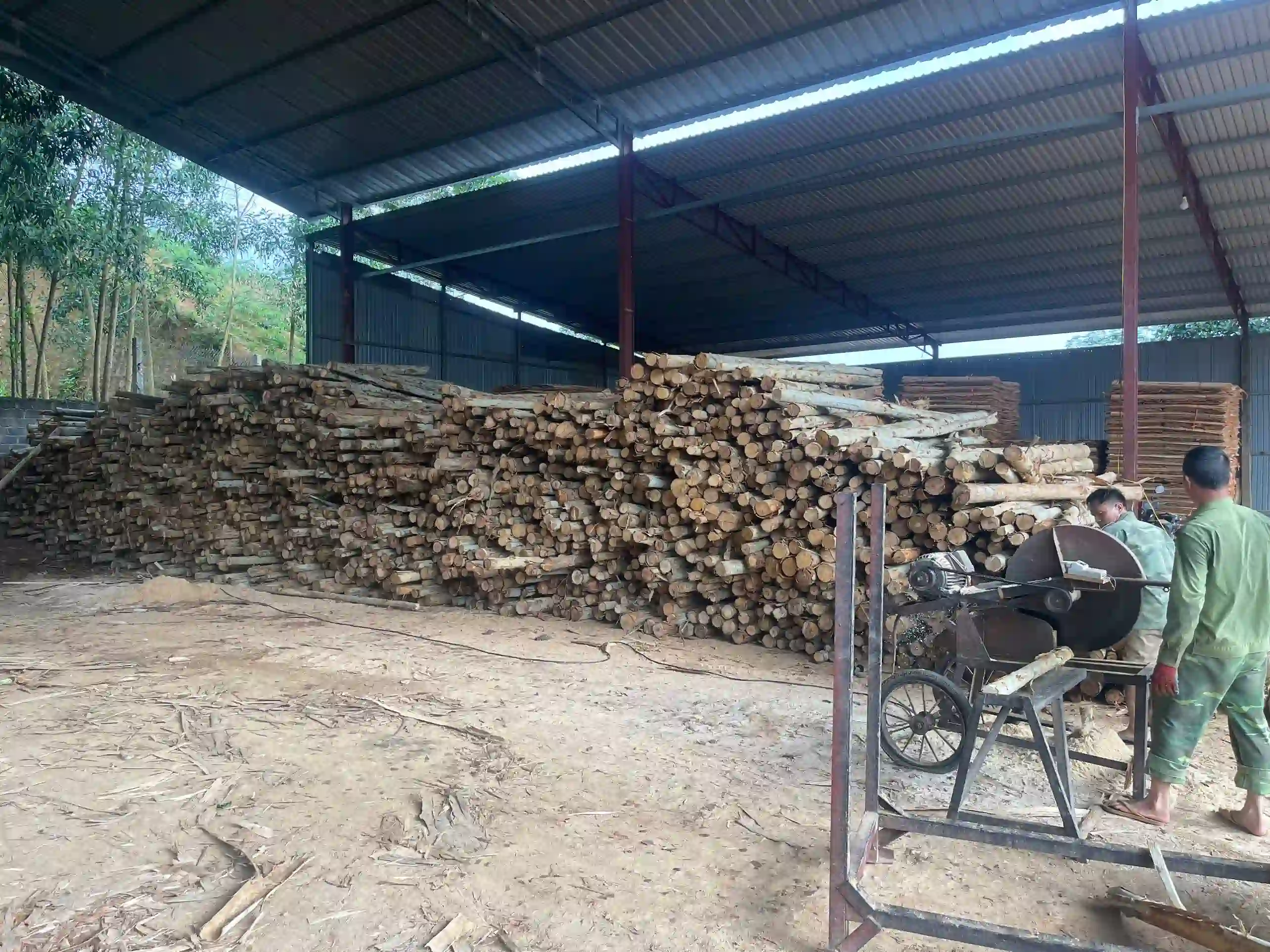 plywood hot press machine vietnam factory styrax core production