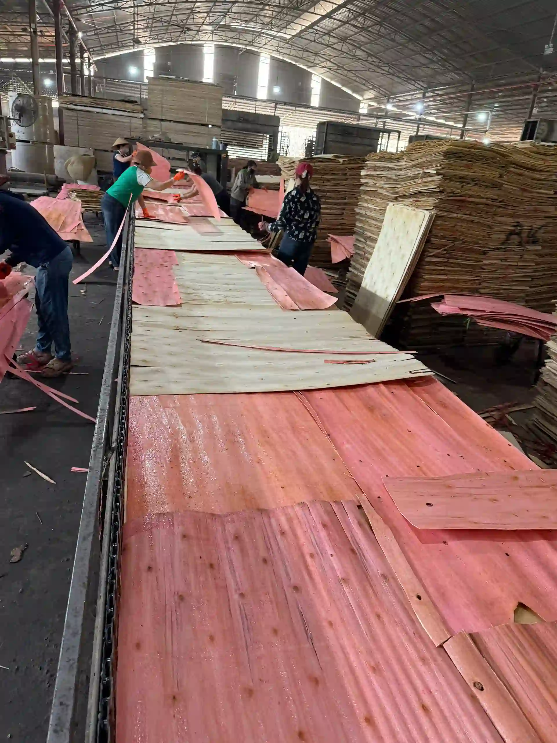 plywood manufacturing production line Vietnam factory hcply