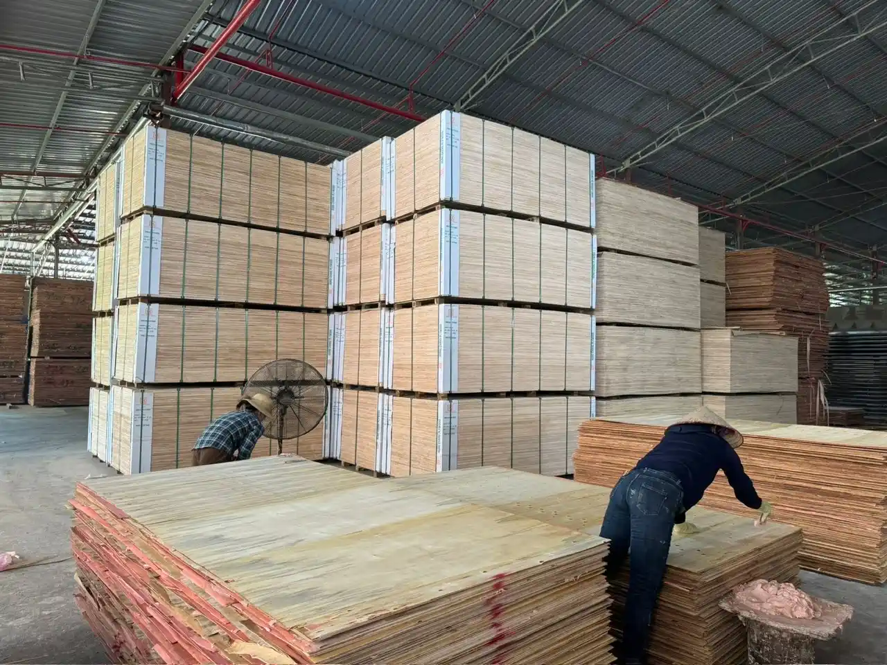 plywood hot press machine vietnam factory hcply melamine phenolic glue pressing