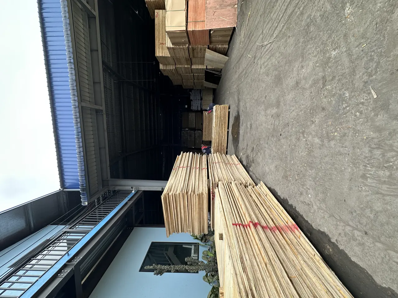 Plywood sanding line at HCPLY Vietnam factory — wide-belt calibration and finish sanding