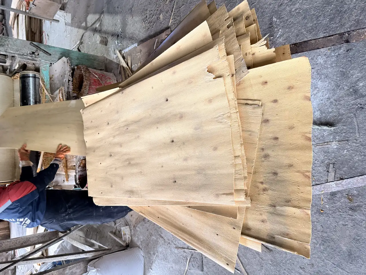 Plywood sheet size comparison 1220x2440mm vs 1250x2500mm Vietnam factory HCPLY export