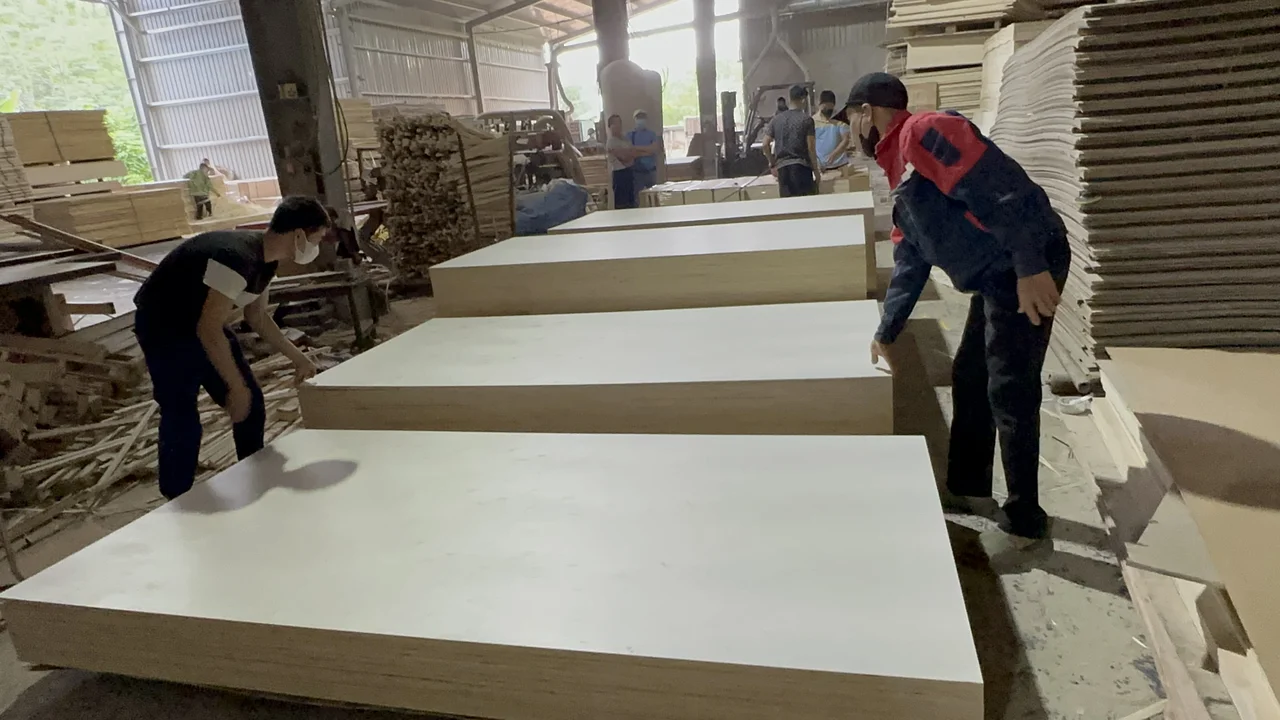 plywood manufacturing line vietnam factory hcply production process