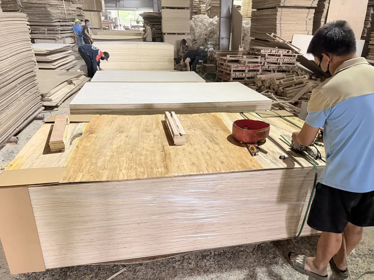 Workers handling finished plywood sheets at HCPLY Vietnam factory