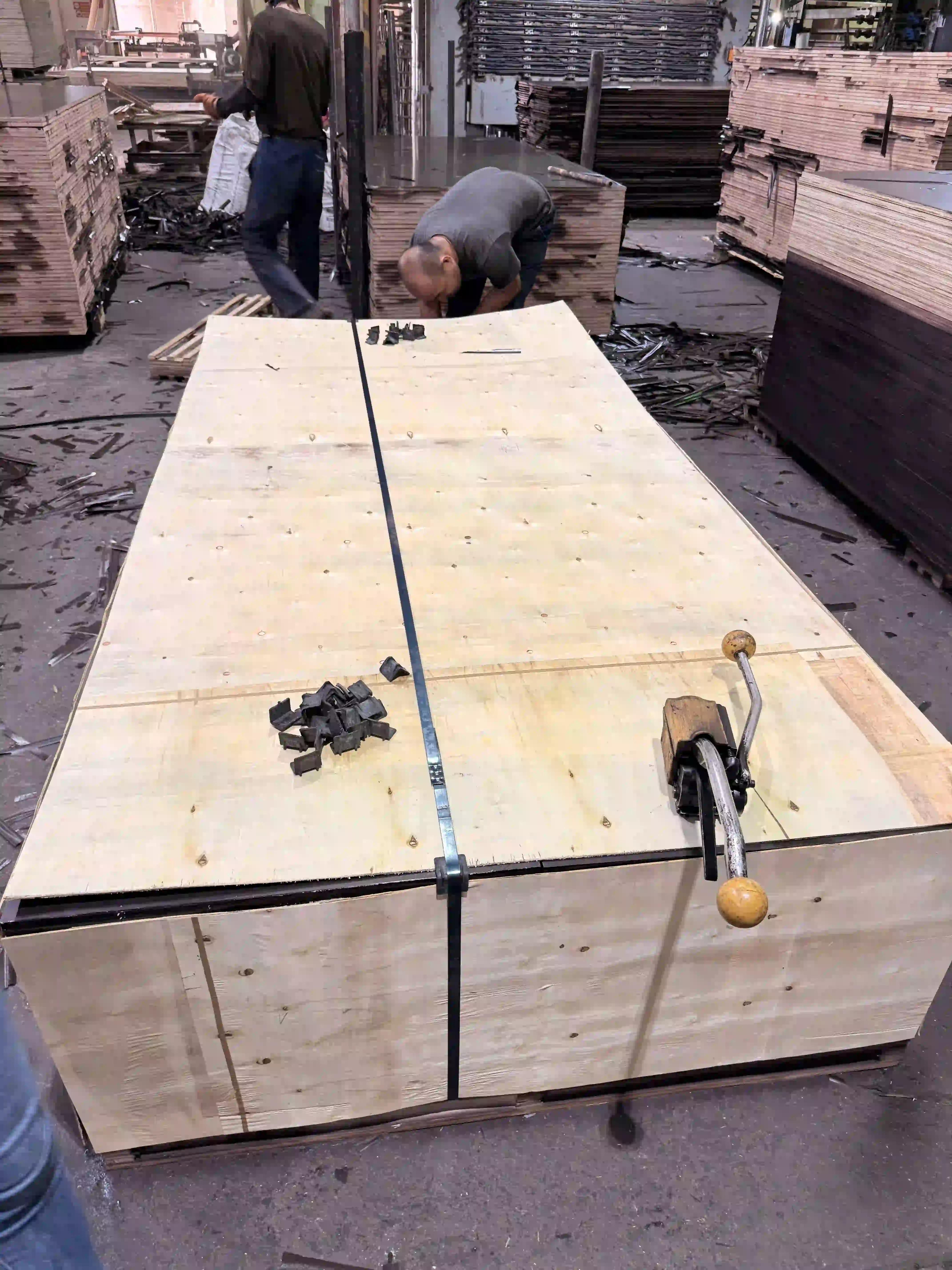 Eucalyptus core 1250x2500mm plywood 15 pallets per 40HC container Vietnam HCPLY