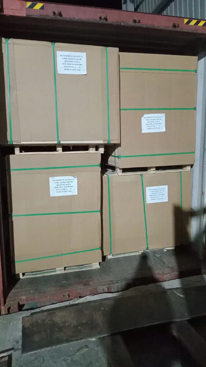 bintangor plywood vietnam pallet packed export grade hcply loading