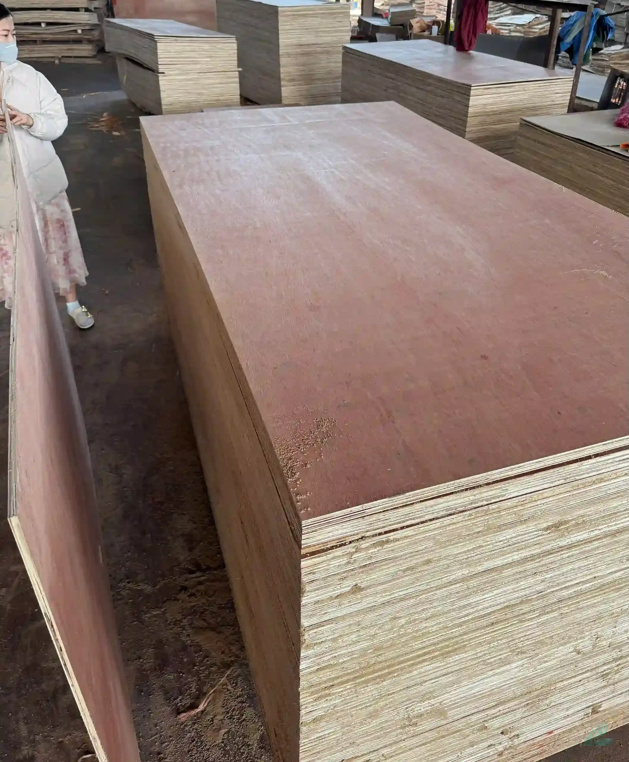 Bintangor Plywood vietnam plywood furniture hcply