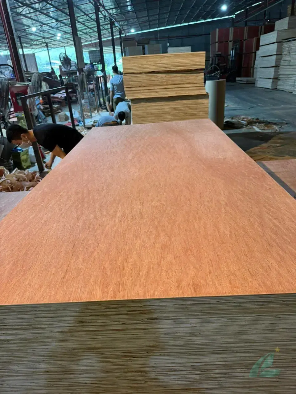 plywood factory container loading commercial grade vietnam hcply export packing