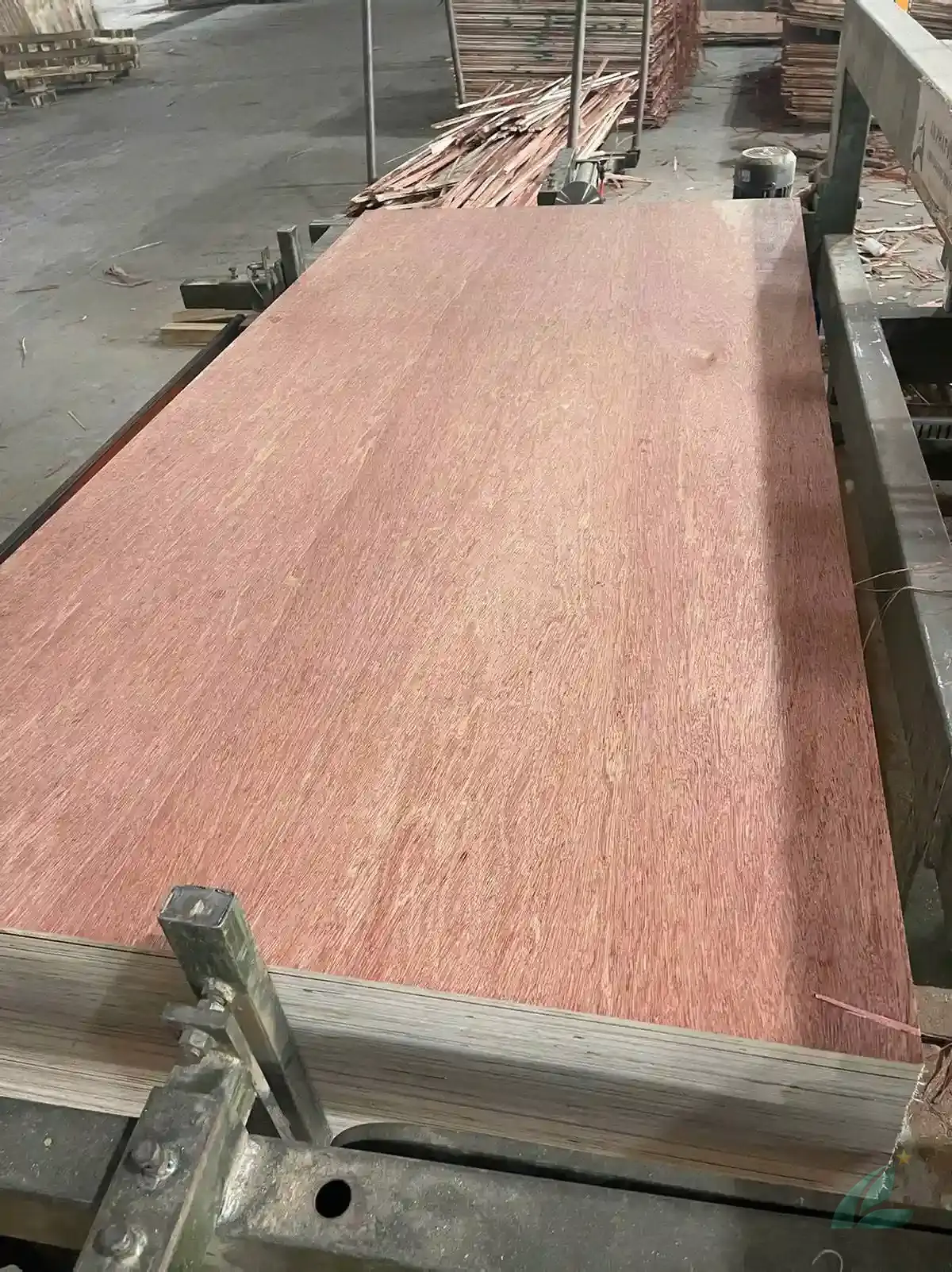 bintangor plywood export packing strapping 40hc container hcply india