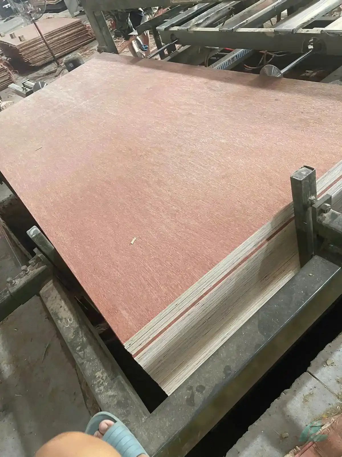 Bintangor plywood vietnam export face veneer close-up grade comparison hcply