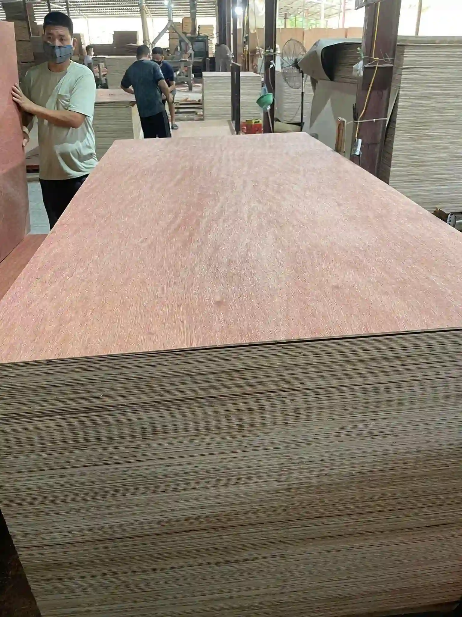 bintangor plywood vietnam export grade A furniture hcply factory direct supplier