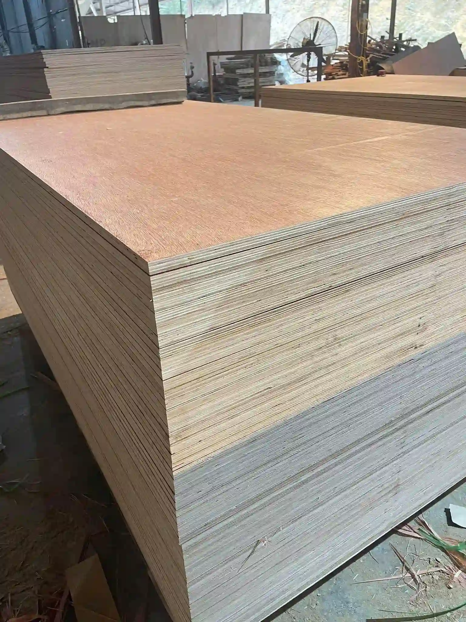 Bintangor plywood Vietnam surface inspection furniture grade HCPLY