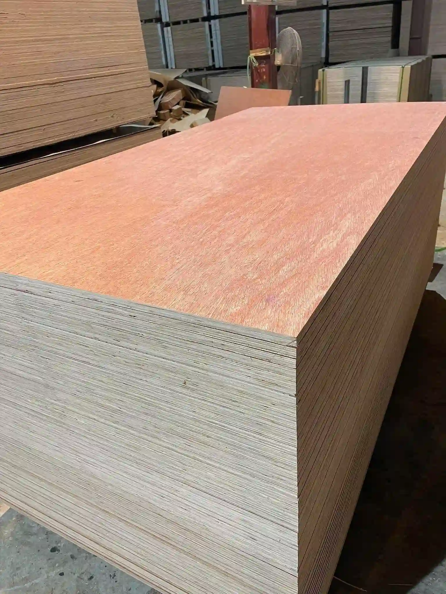 Bintangor plywood Vietnam graded panels pre-shipment HCPLY factory