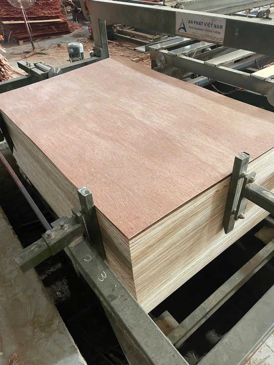 Bintangor plywood Vietnam panel stack quality control HCPLY