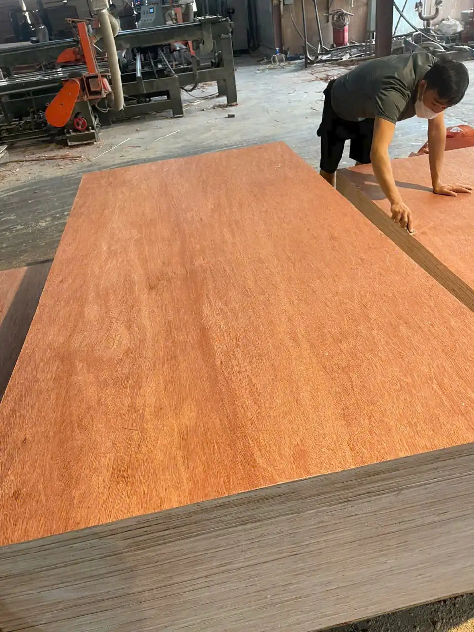 Bintangor plywood Grade A face veneer sanded surface export Vietnam HCPLY comparison