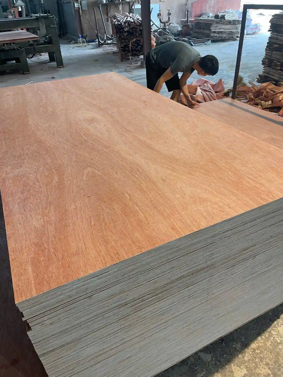 Plywood face grade A bintangor veneer sanded surface Vietnam export HCPLY comparison chart