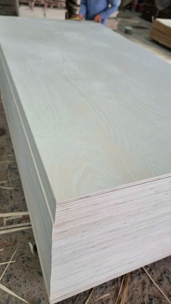 birch plywood premium furniture grade sample hcply vietnam