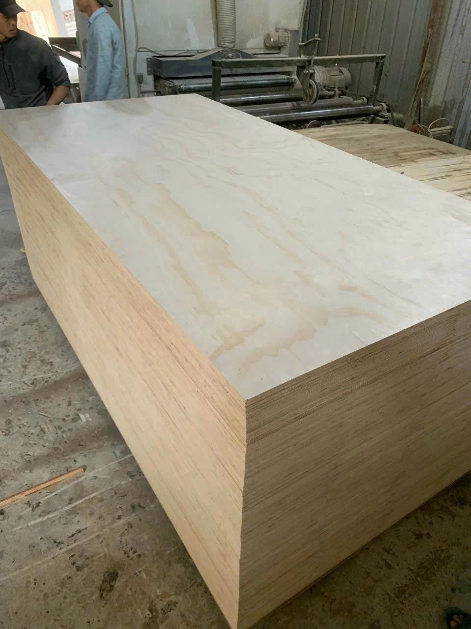 plywood quotation guide — birch plywood premium furniture grade Vietnam export birch face styrax core HCPLY