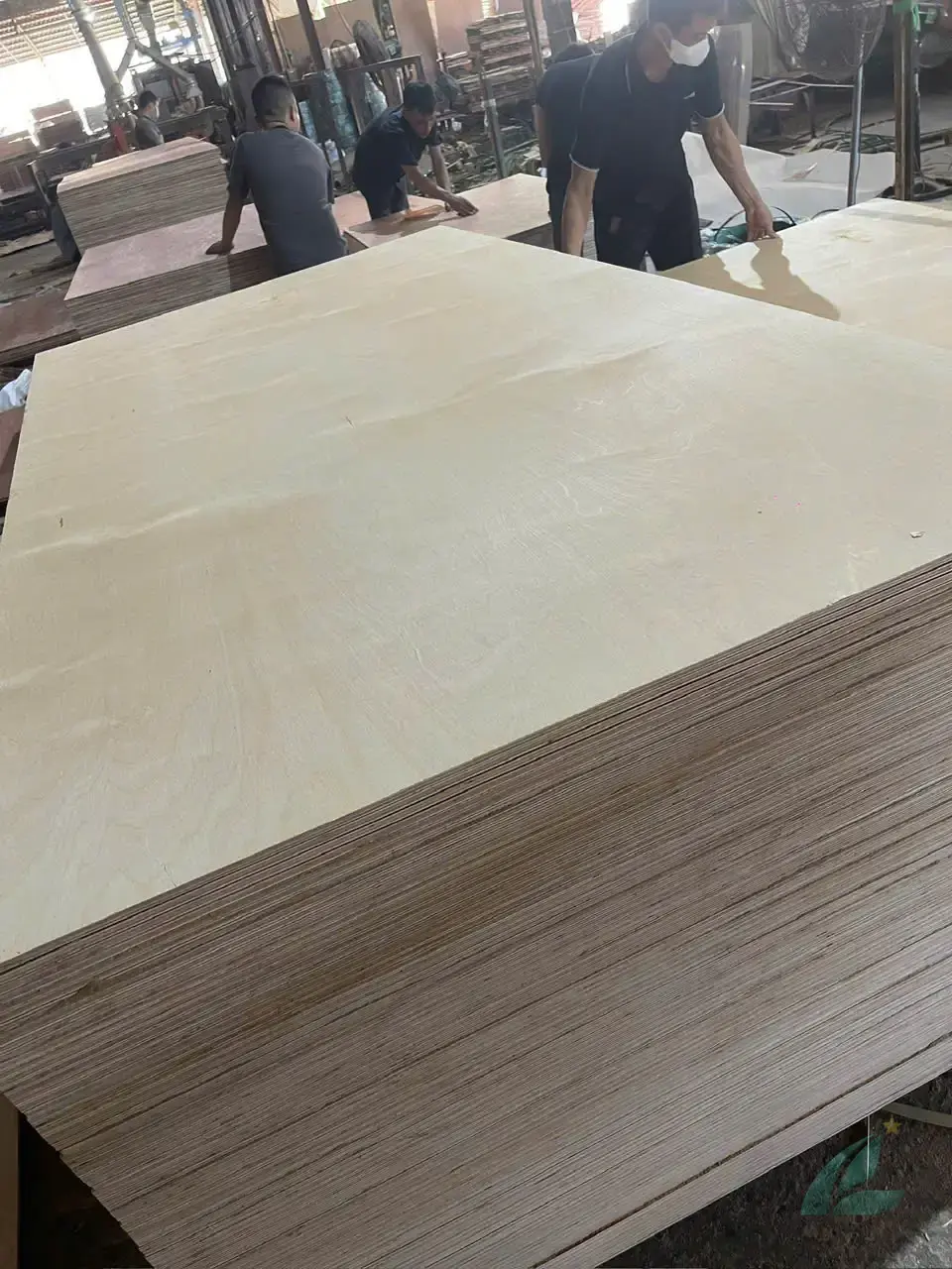 Kitchen cabinet plywood Vietnam birch face veneer HCPLY factory