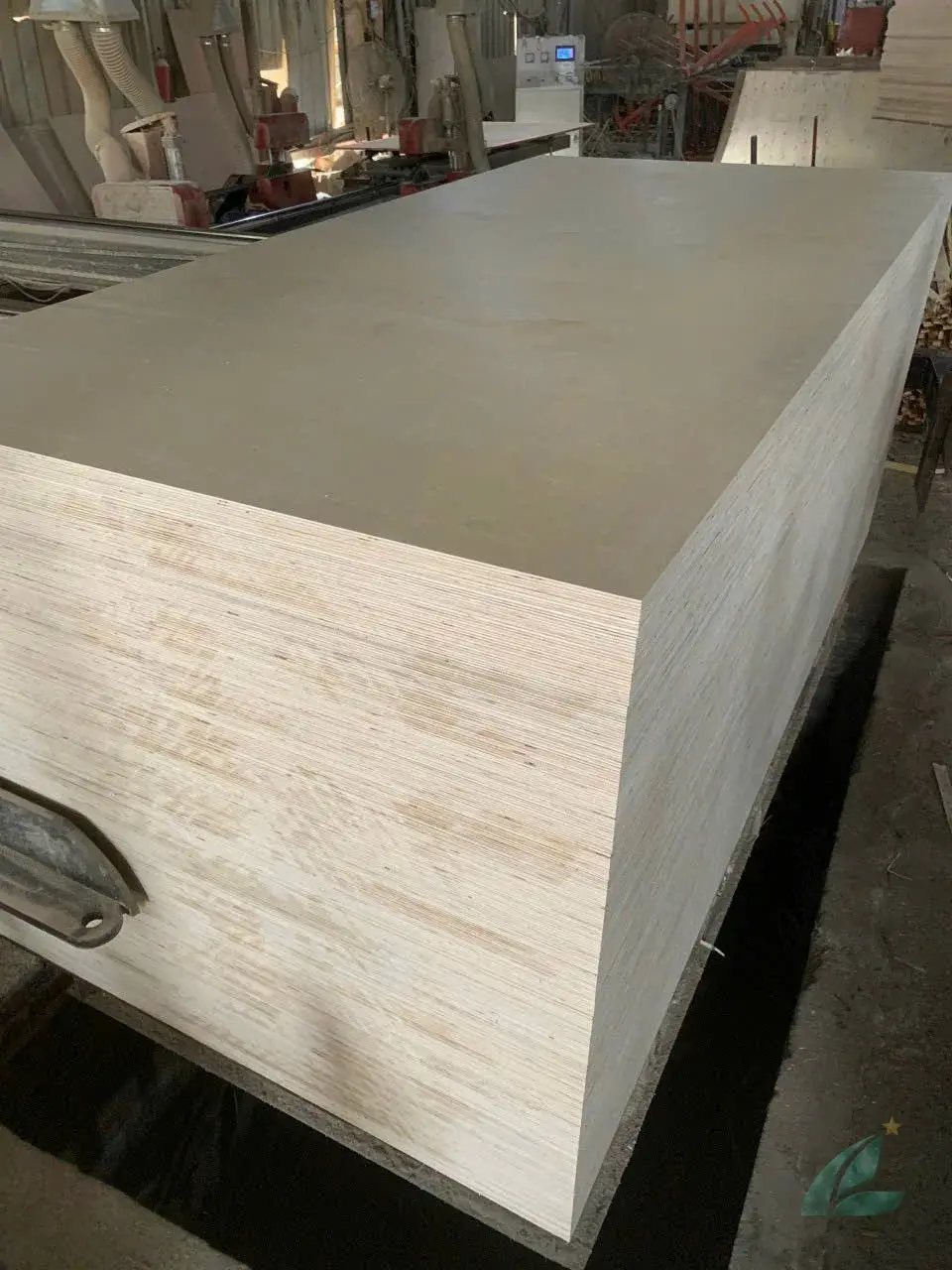 Birch Plywood vietnam plywood furniture hcply