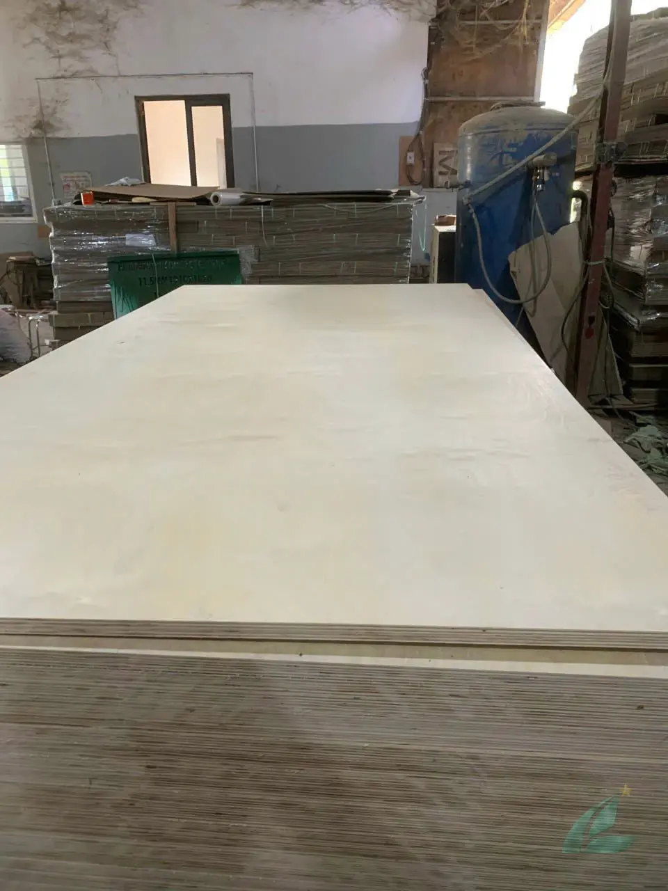 birch plywood vietnam factory quality inspection thickness measurement hcply