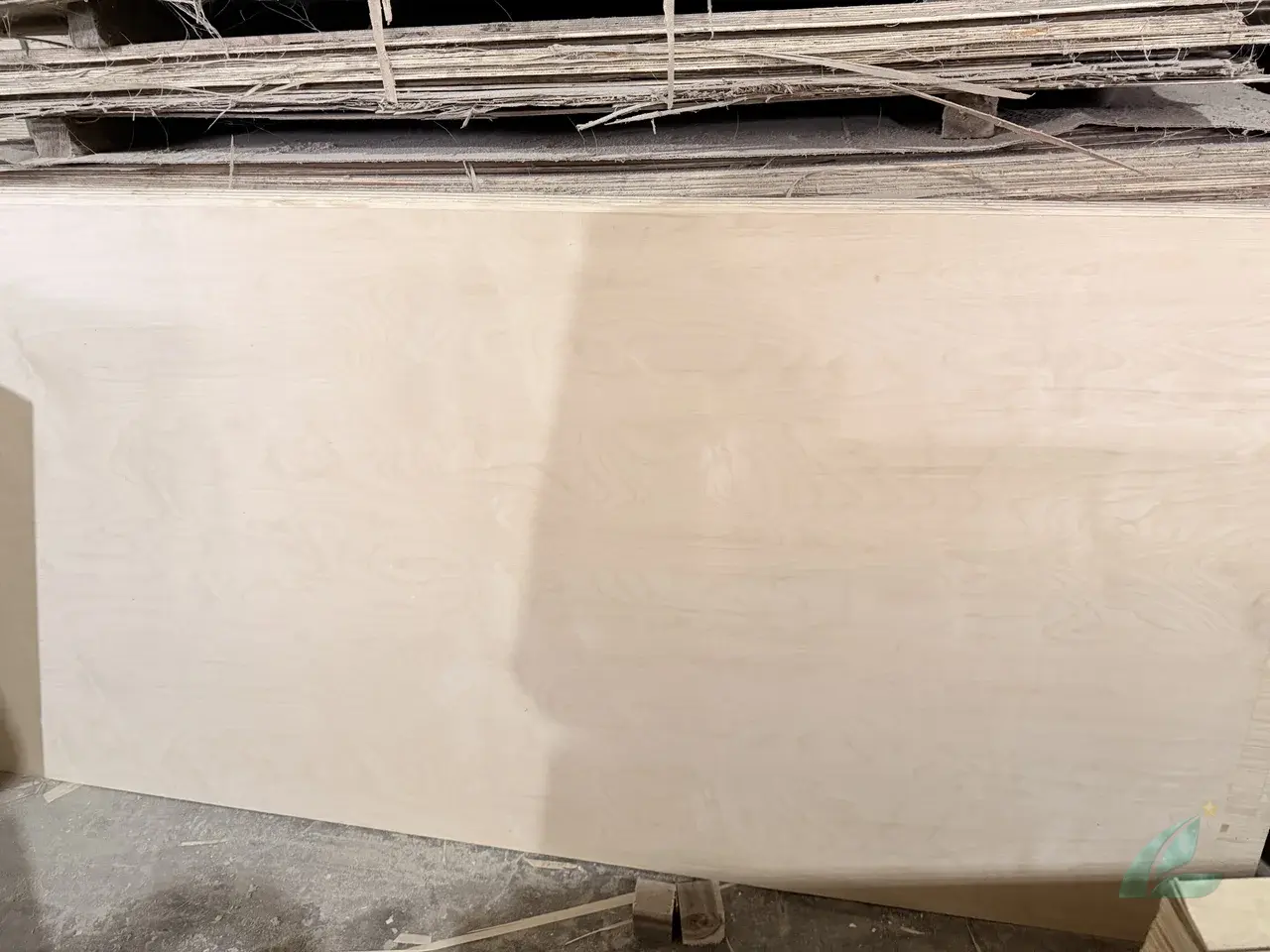 birch plywood for kitchen cabinets vietnam — D grade face sanded smooth for cabinet export hcply