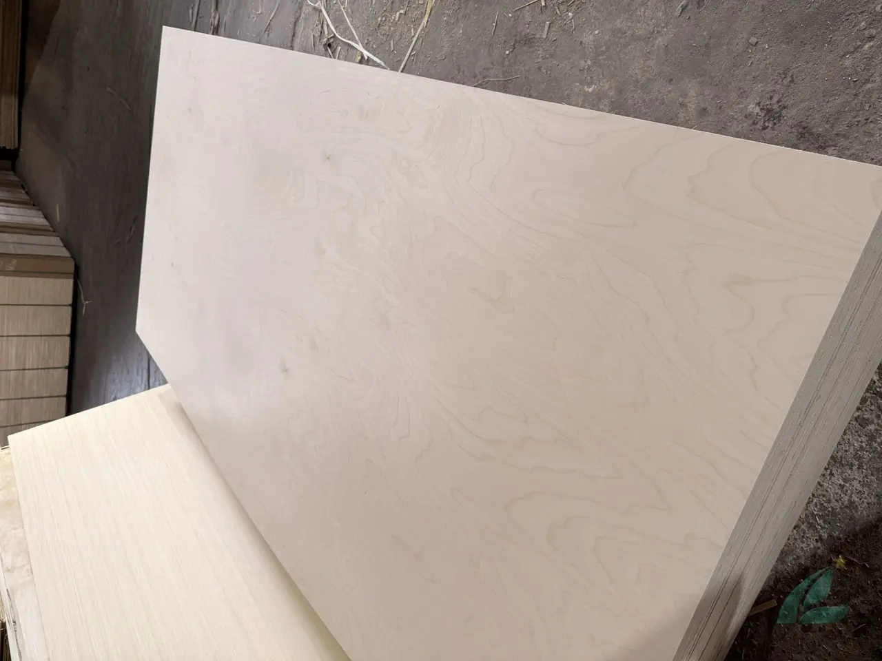 birch plywood vietnam supplier export grade d e f hcply factory northern vietnam 2026