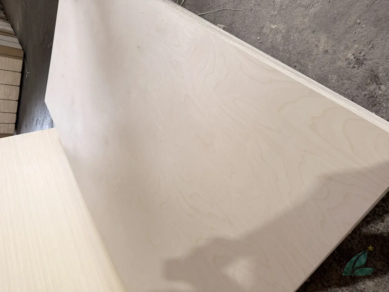 full birch plywood panel cross-section showing birch face veneer vietnam hcply