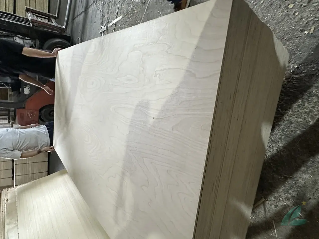 full birch plywood Vietnam export grade birch face veneer styrax core HCPLY
