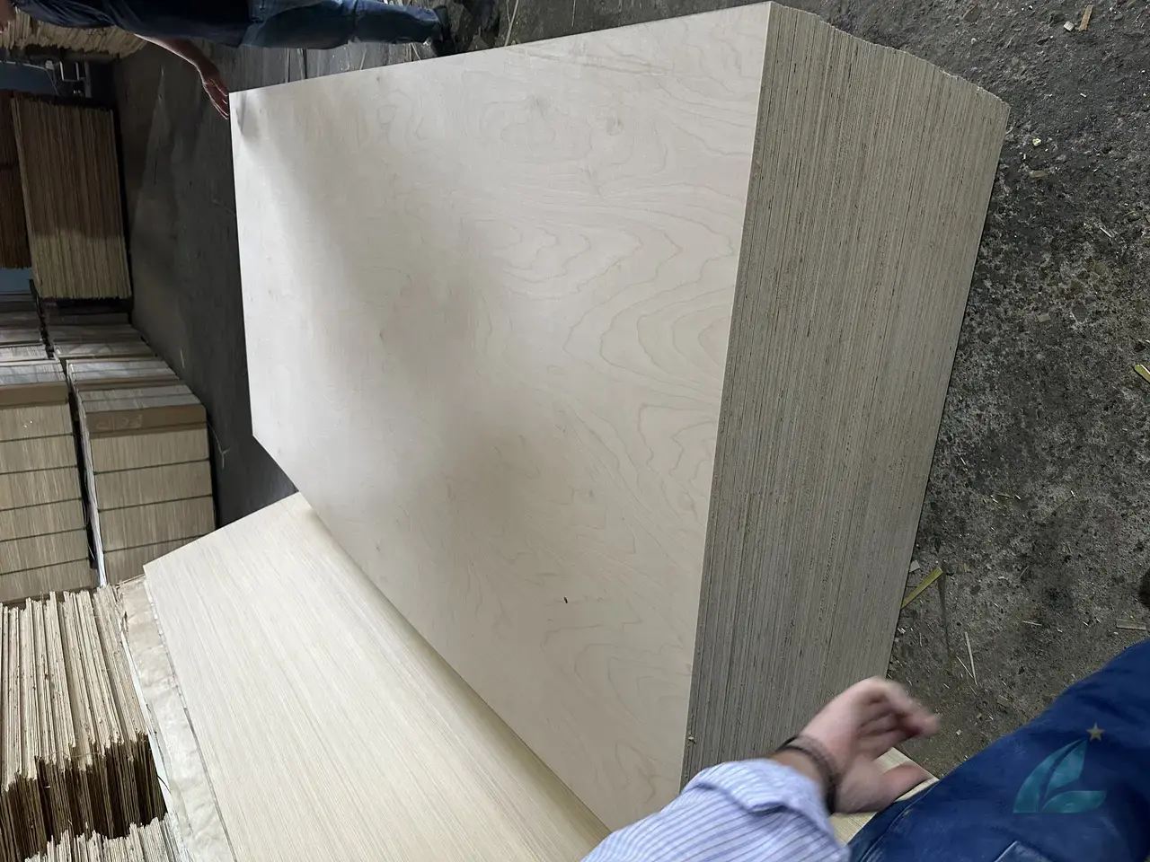 birch plywood vietnam cabinet grade — second face detail quality D grade face veneer hcply factory