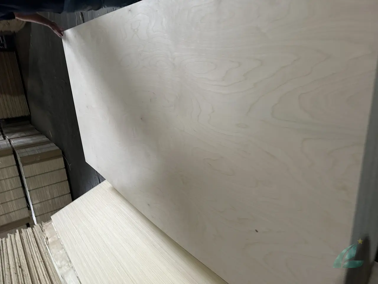 0.4mm thick veneer face plywood birch premium grade sanded surface HCPLY Vietnam export factory