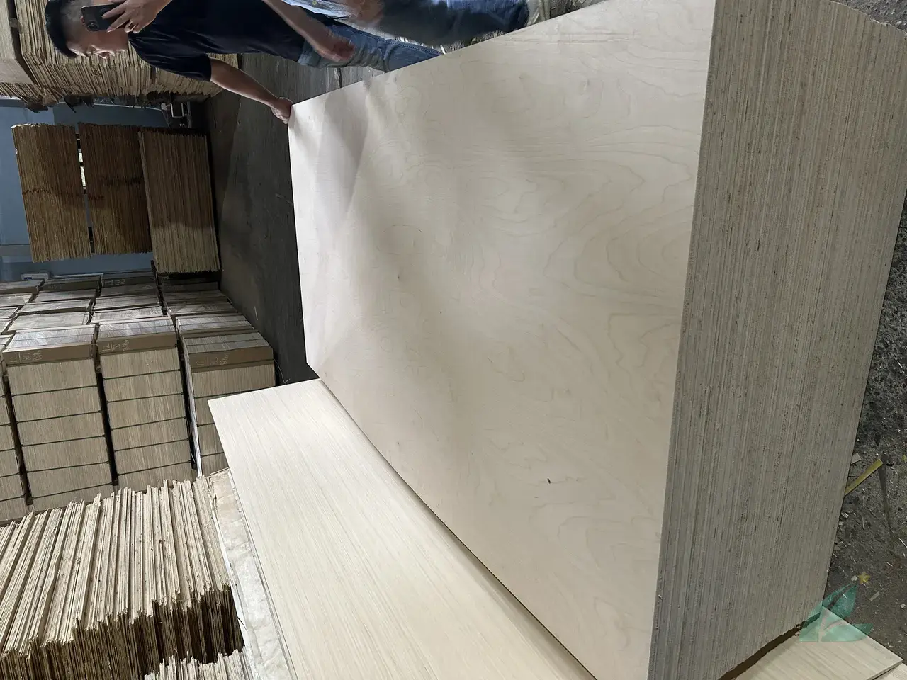 Birch plywood Vietnam D grade face veneer export quality sanded HCPLY premium furniture