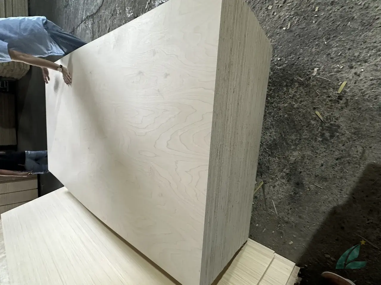 Birch plywood premium furniture grade — Vietnam export birch face styrax core HCPLY