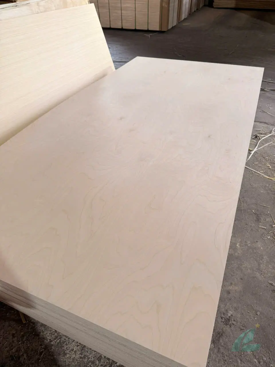 Birch plywood Vietnam D grade face veneer export quality sanded HCPLY