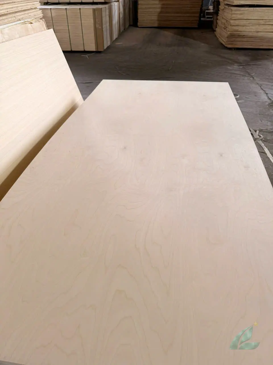Plywood face grade comparison birch bintangor okoume D E F A B grading Vietnam HCPLY