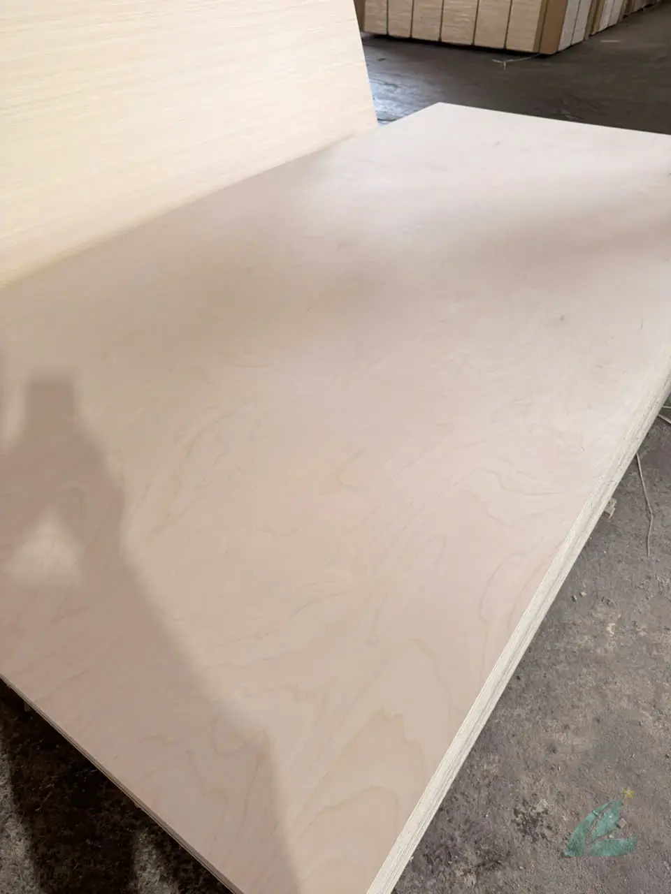 Birch plywood Vietnam D grade face veneer export quality sanded HCPLY
