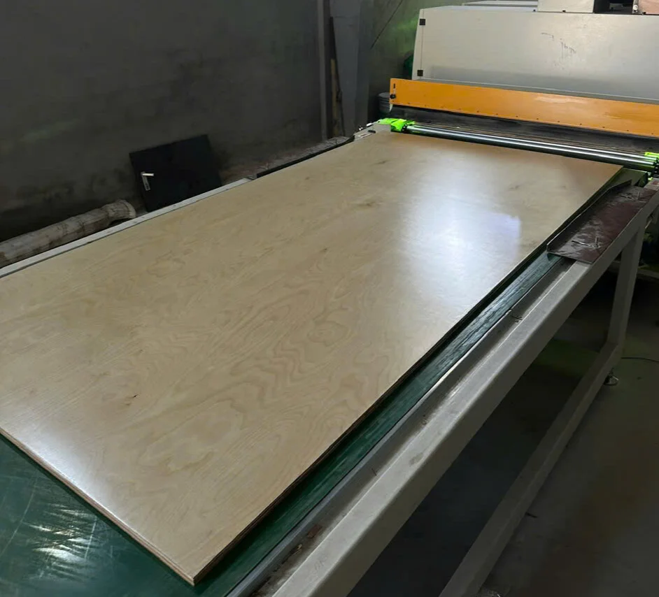 Birch UV Coated Plywood Vietnam — HCPLY